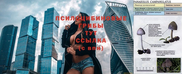 2c-b Аркадак