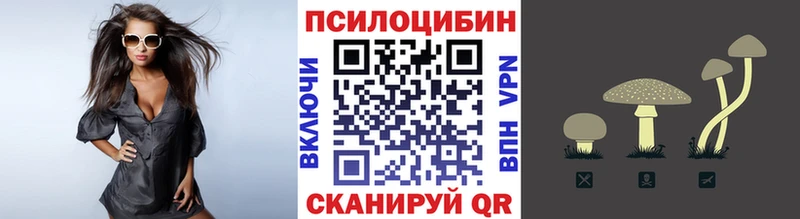 Псилоцибиновые грибы мицелий  Спасск-Дальний 